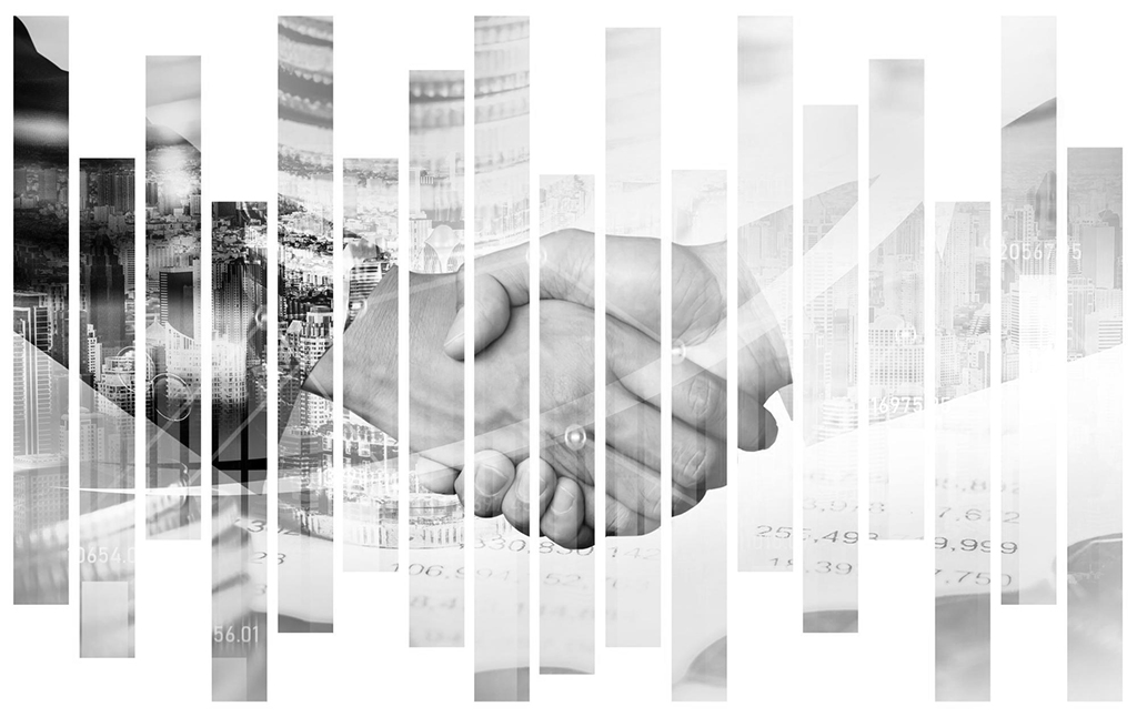 partners